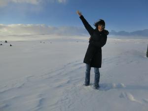 Aronson in the Arctic